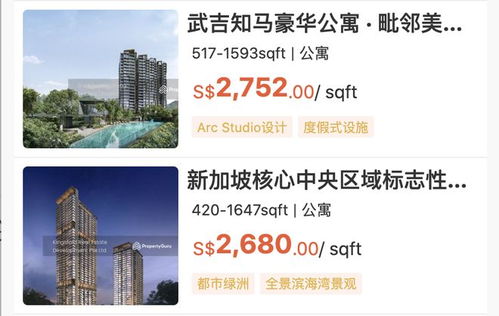 新加坡房產經紀最怕什么 不是市場冷，是中國人搜不到你
